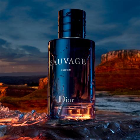 dior sauvage globus|sauvage dior perfume for men.